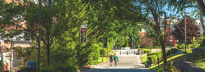 Students walking home after class